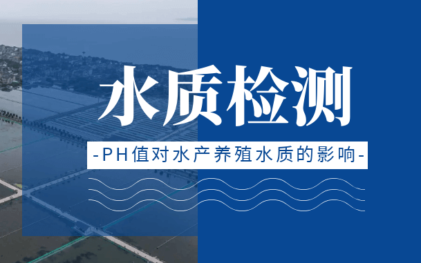 Wepay(中国区) - 官方网站