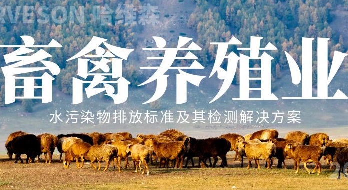 Wepay(中国区) - 官方网站