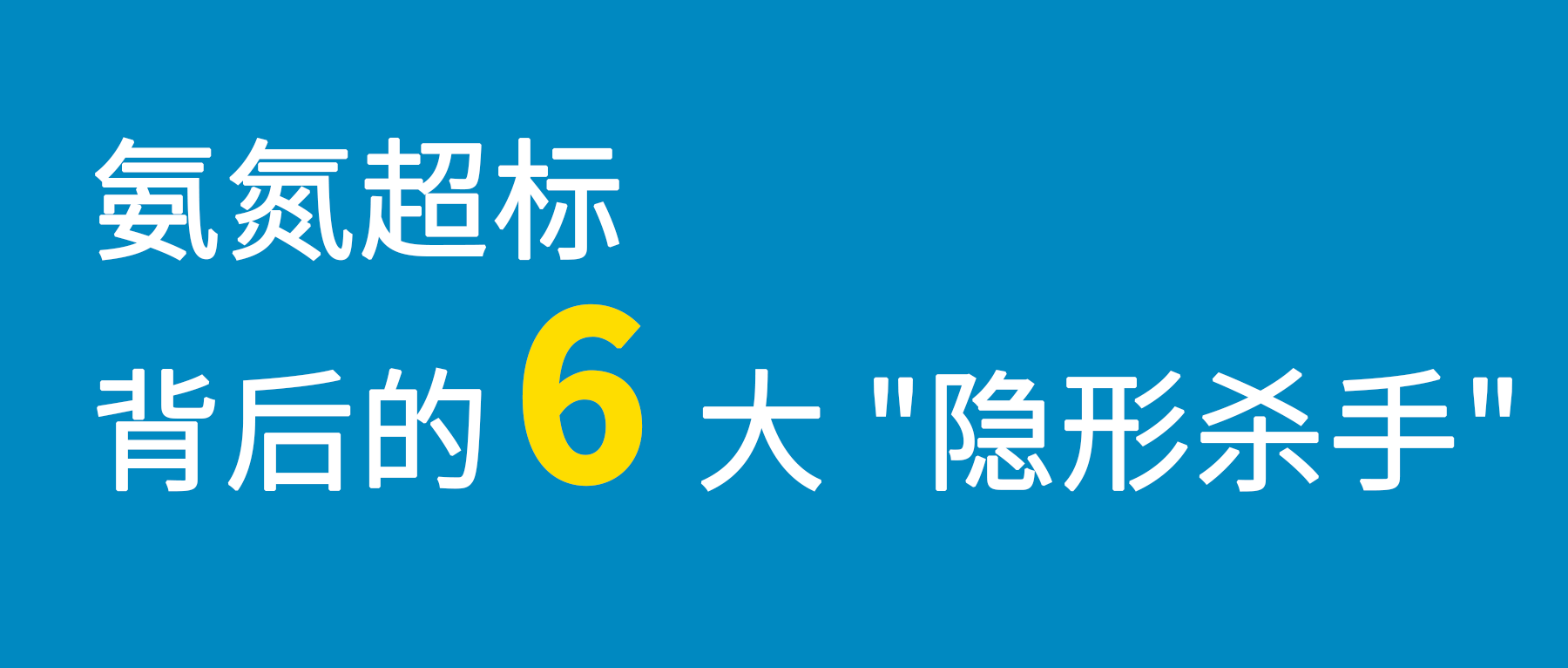 Wepay(中国区) - 官方网站